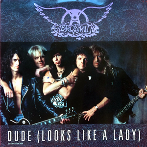 Aerosmith Dude Looks Like A Lady