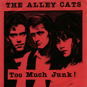 AlleyCatstooMuchJunk_LosAngeles