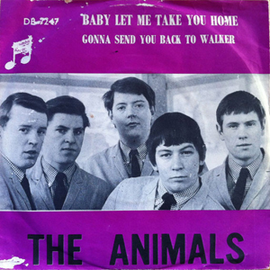 AnimalsBabyLetTakeYouHome