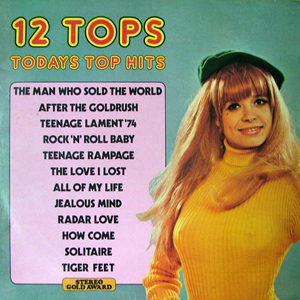 Beret Various 12 Tops Vol 18