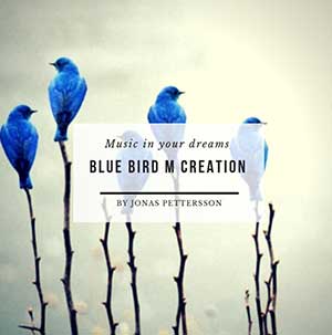 BluebirdJonasPettersson