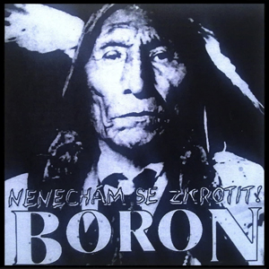 BoronNenechamSeZkrotit