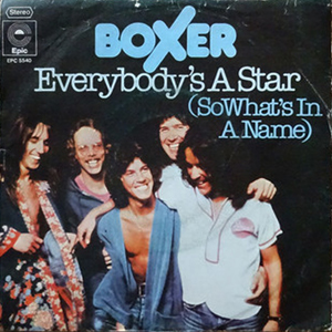 BoxerEverybodysAStar