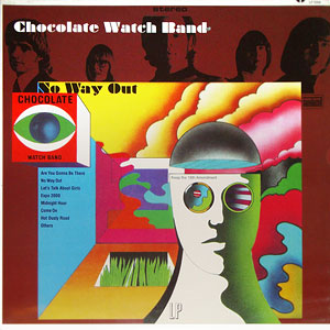 Chocolate Watchband