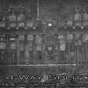 Fluorine4WaySplit