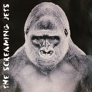 Gorilla The Screaming Jets