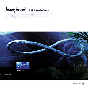 Infinity Big Bud