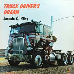 JeannieCRileyTruckDriversDream