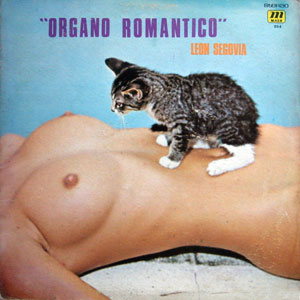 LeonSegoviaOrganoRomantico