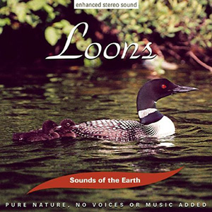 Loons Sounds Of The Earth