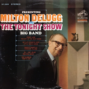 MiltonDeluggPresenting