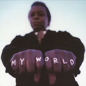 My World Lee Fields