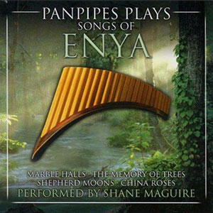 Pan Pipes Songs Of Enya