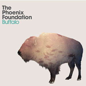 Phoenix Foundation Buffalo