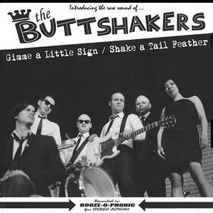Shake A Tail Feather Buttshakers