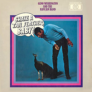 Shake A Tail Feather Geno Washington