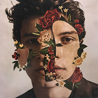 ShawnMendessmall