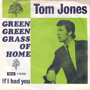 TomJonesGreenGrassOfHome45