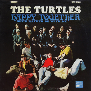 Tom Wilkes Turtles Happy