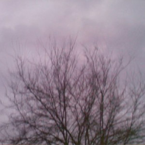 Tree Emaciator Remorse EP