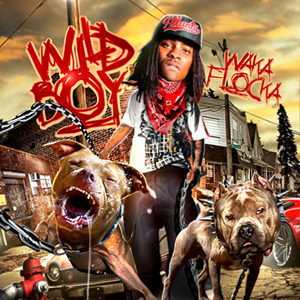 WakaFlockaFlameWildBoy