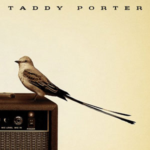 amp bird taddy porter