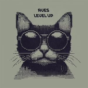 aveslevelup