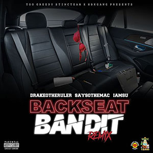 backseatbanditdrakeotheruler