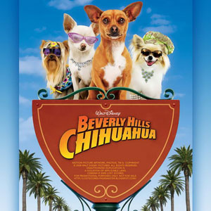 beverly hills chihuahua