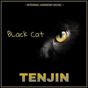 blackcattenjinintrinsicharmony