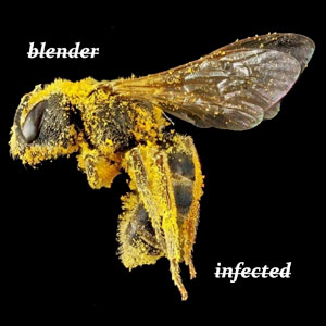 blenderinfectedbeepollen