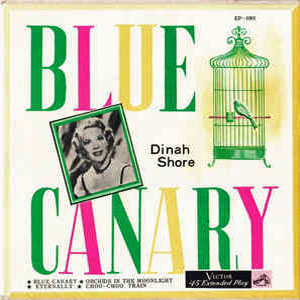 bluecanarydinahshore