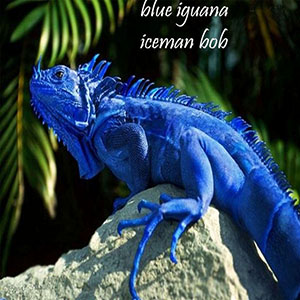 blueiguanaicemanbob