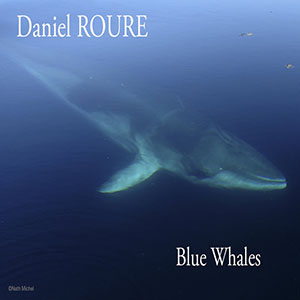 bluewhalesdanielroure