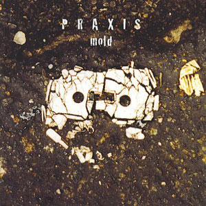 cassette praxis mold