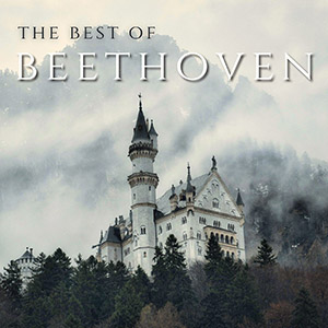 castlebestofbeethovenhalidon