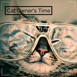 catguitarownerstime