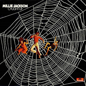 caughtupmilliejacksonspiderweb