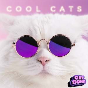 coolcatssong