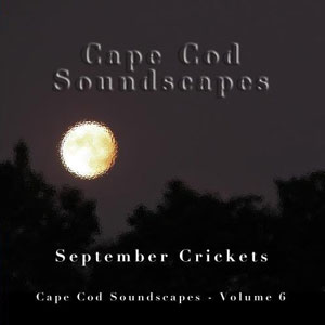 cricket sounds cape cod september