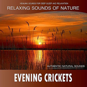 cricket sounds evening relaxing