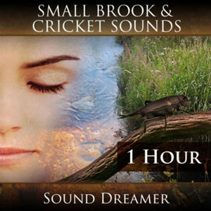 cricket sounds small brooks