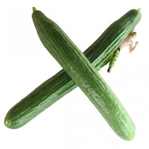 cucumber_xulfni