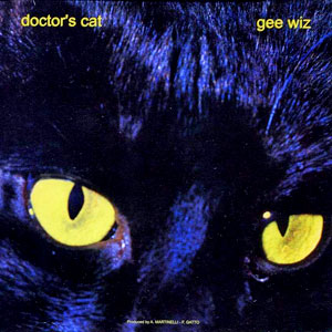 doctorscatgeewiz
