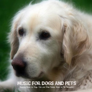 dog calm music for dogs and pets