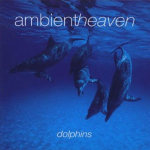 dolphins ambient heaven