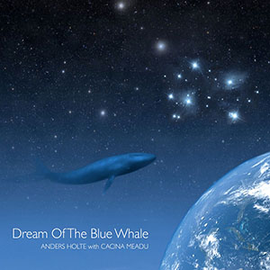 dreamofthebluewhaleandersholte