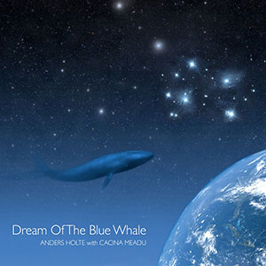 dreamofthebluewhaleandersholte