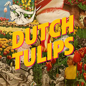 dutchtulips