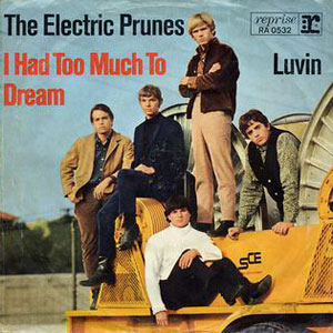 electricprunesihadtoomuchtodream